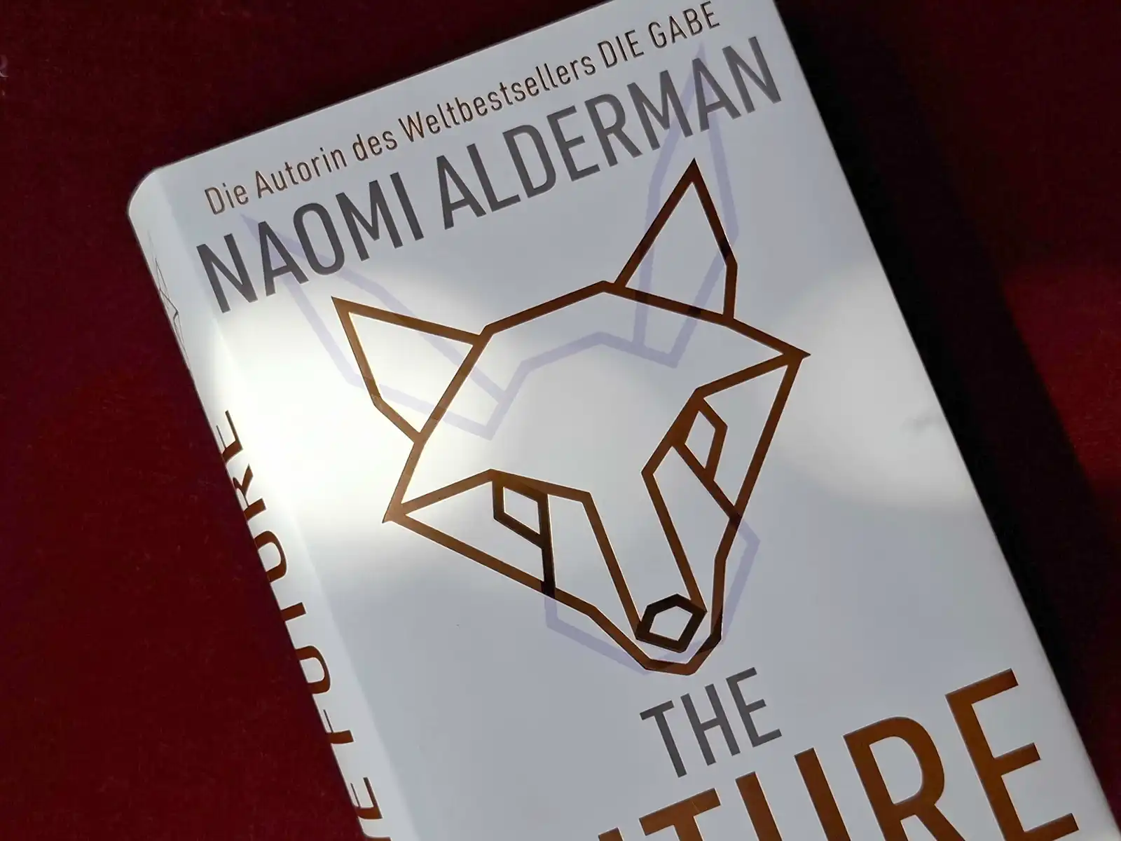 Naomi Aldermann The Future